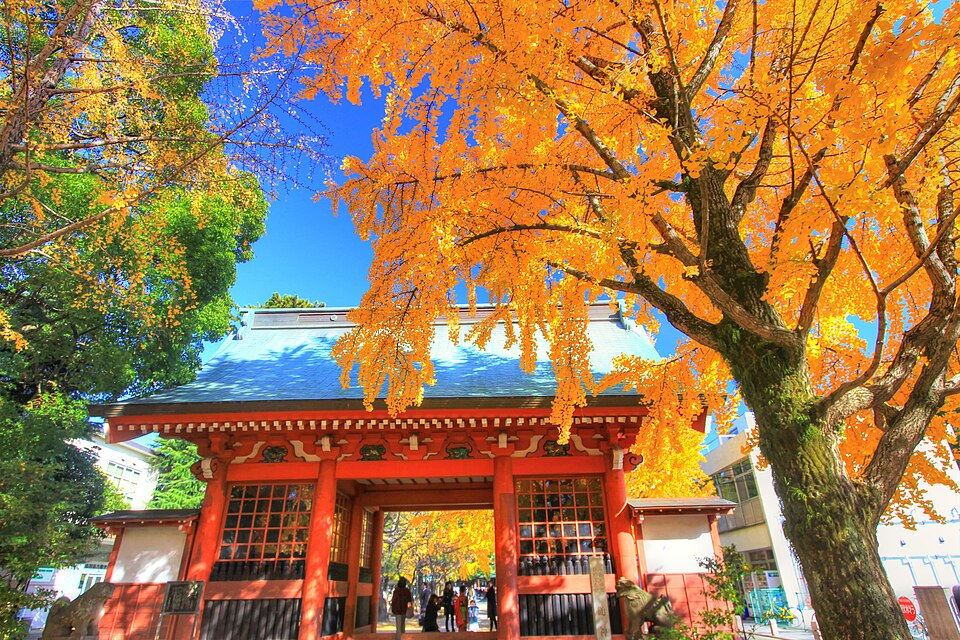 葛飾八幡宮の境内の様子