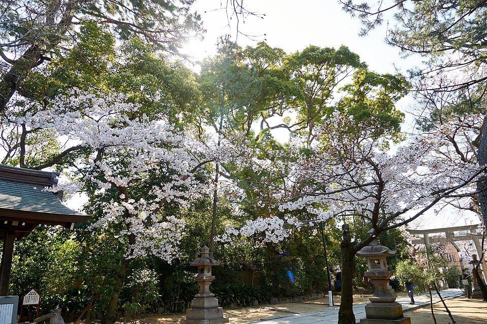 弓弦羽神社の境内の様子